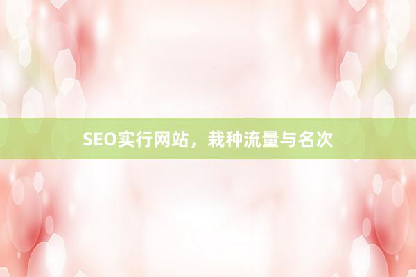 SEO实行网站，栽种流量与名次